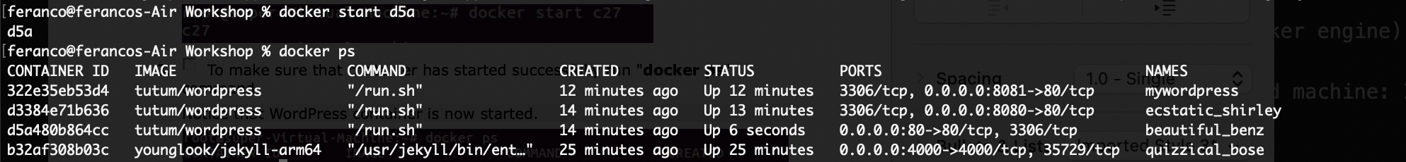 docker-start