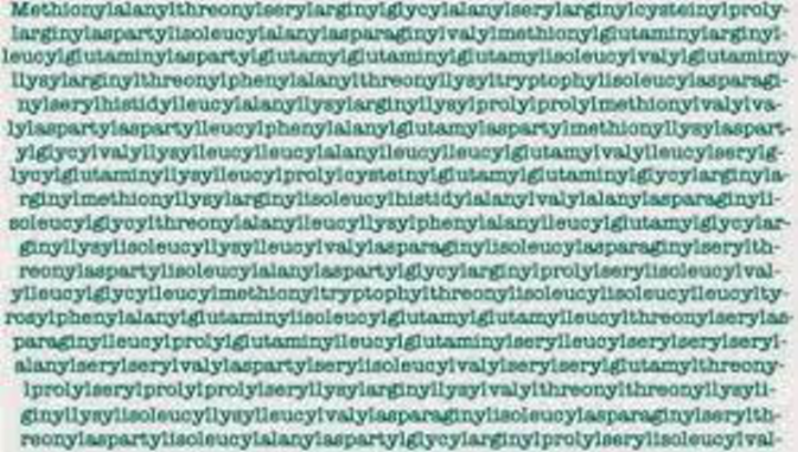 Longest Word In Dictionary